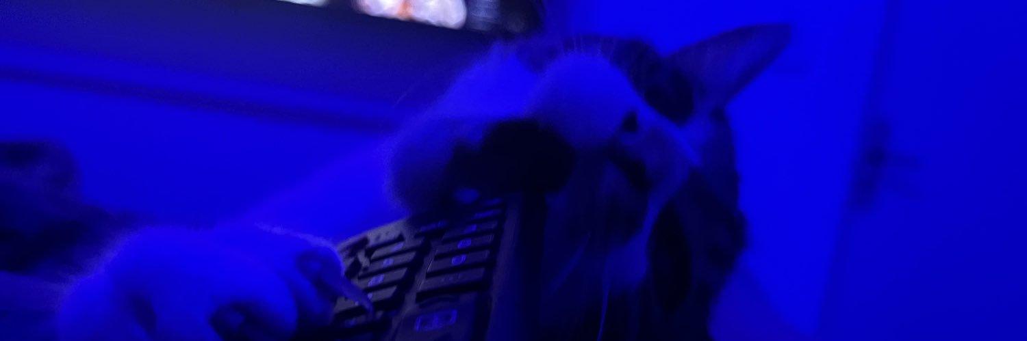 dmchdx's profile banner image