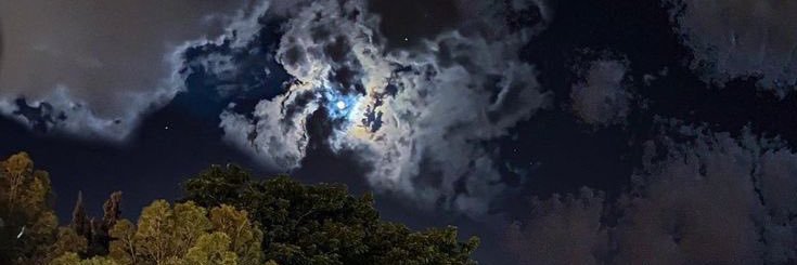 __t11a's profile banner image
