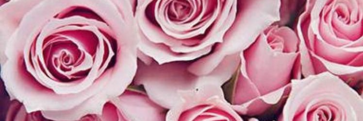 mrsramadan's profile banner image
