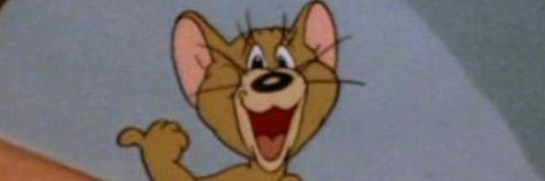 ⟡ bree⁰⁸⁰⁷♡ ⟡ banner