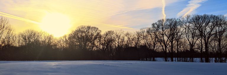 Shrum412's profile banner image