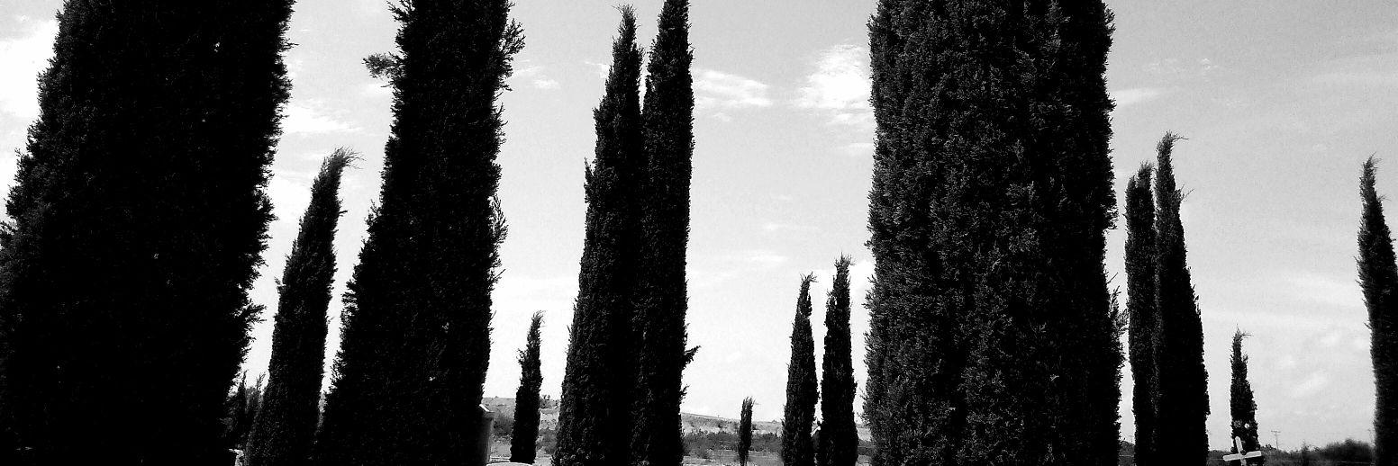 J_JavierGalan's profile banner image