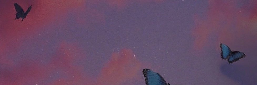 beliczia's profile banner image