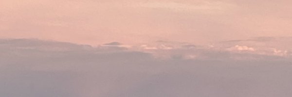 nint Profile Banner