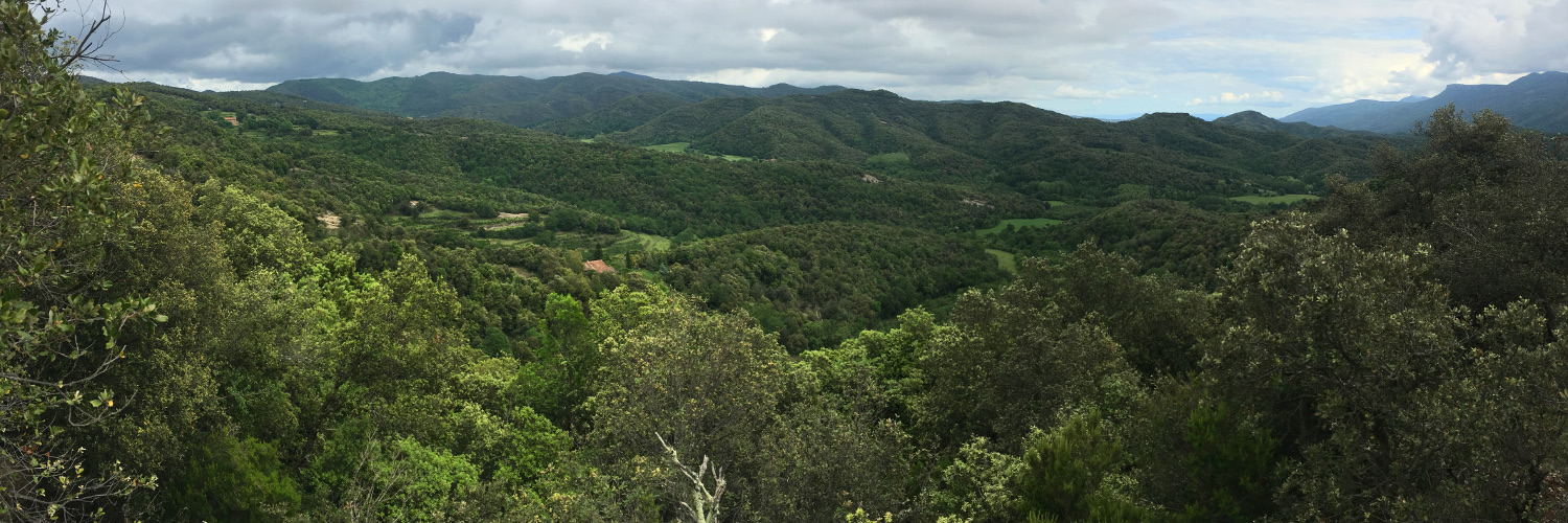 Fundació Sèlvans banner