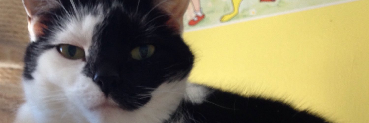 EmilyPhancat's profile banner image