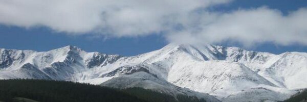 LamjavTs Profile Banner