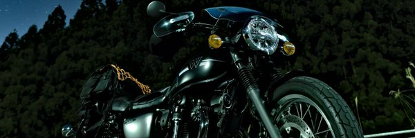 560penguin Profile Banner