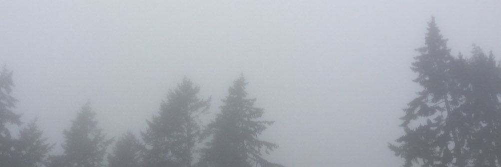 tiarsha13's profile banner image