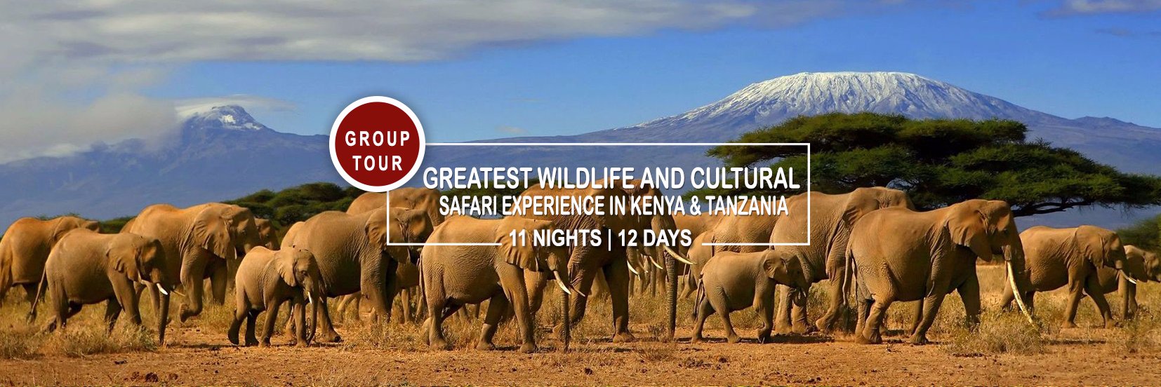 twigatours's profile banner image