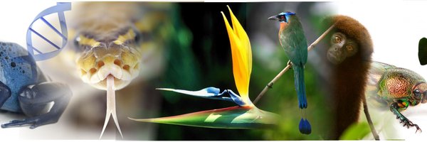 BioUnivalle Profile Banner