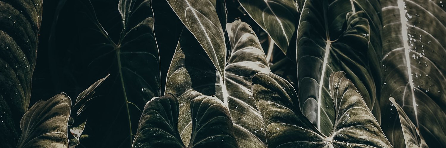 Monsee_eee's profile banner image