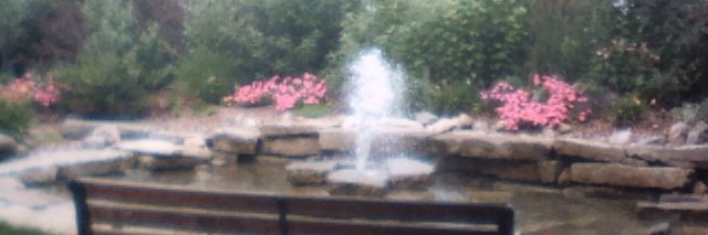 Mel-Lisa Kenney banner