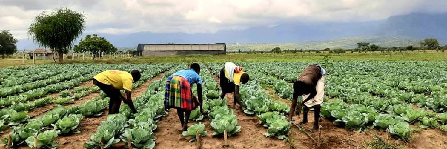 Agromax uganda banner