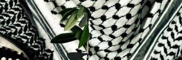 LoreGringa's profile banner image