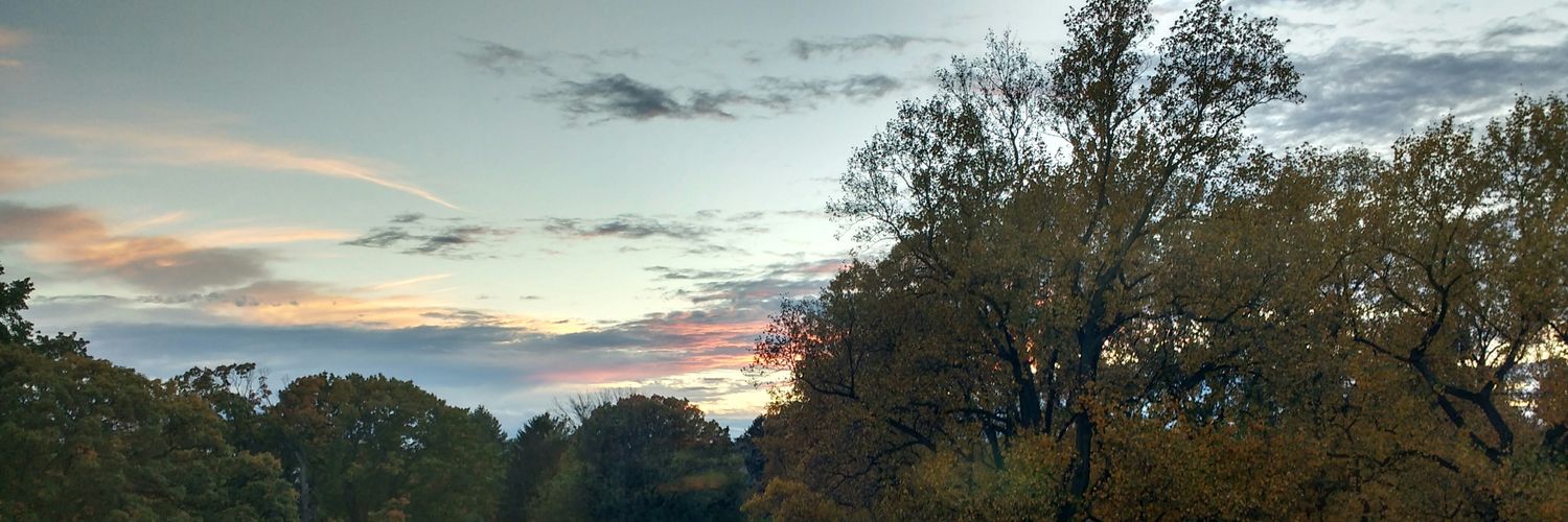 ChaZimmerman's profile banner image
