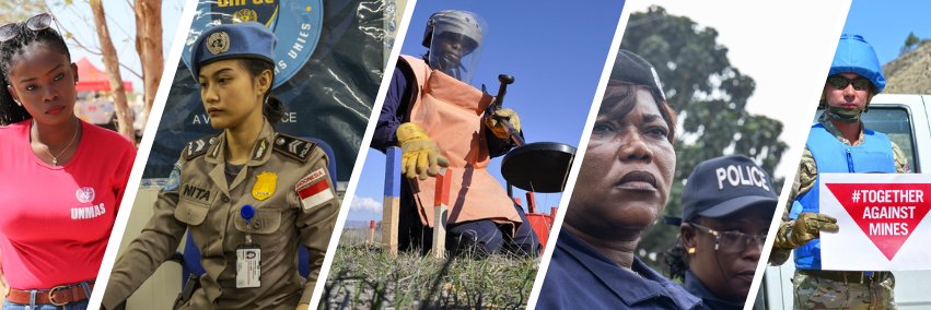 United Nations Office of Rule of Law and Security banner