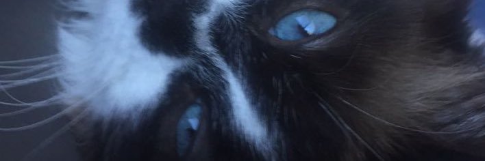 BrogdenJay's profile banner image