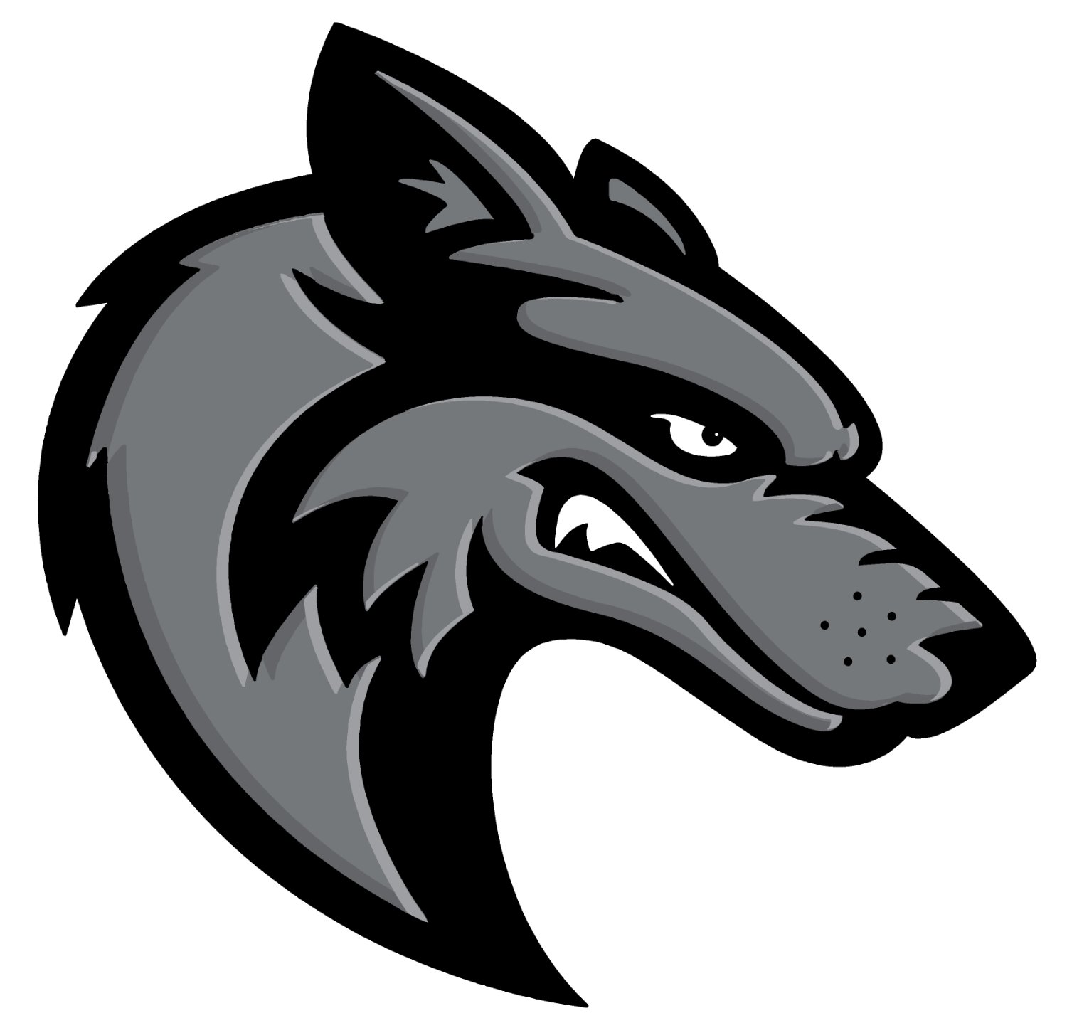 succeedwCMS's profile banner image