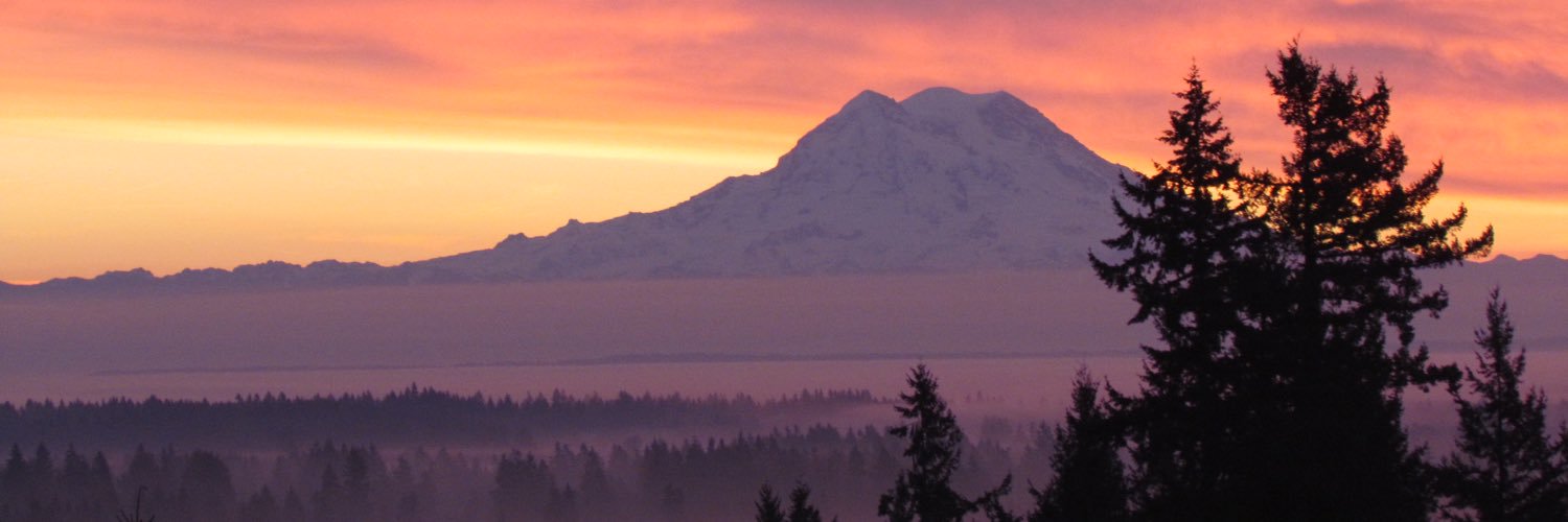timkehoe11's profile banner image