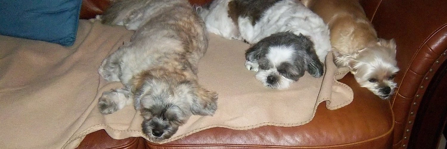 Patriot/S-stirrer 🇺🇸 banner