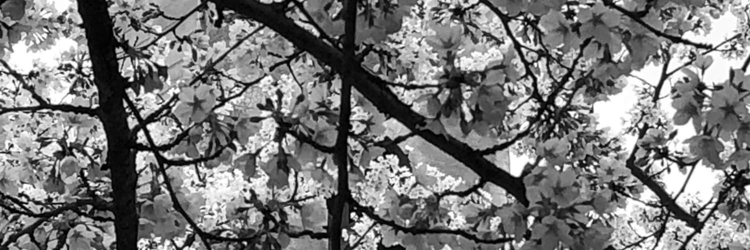 barb4ry's profile banner image