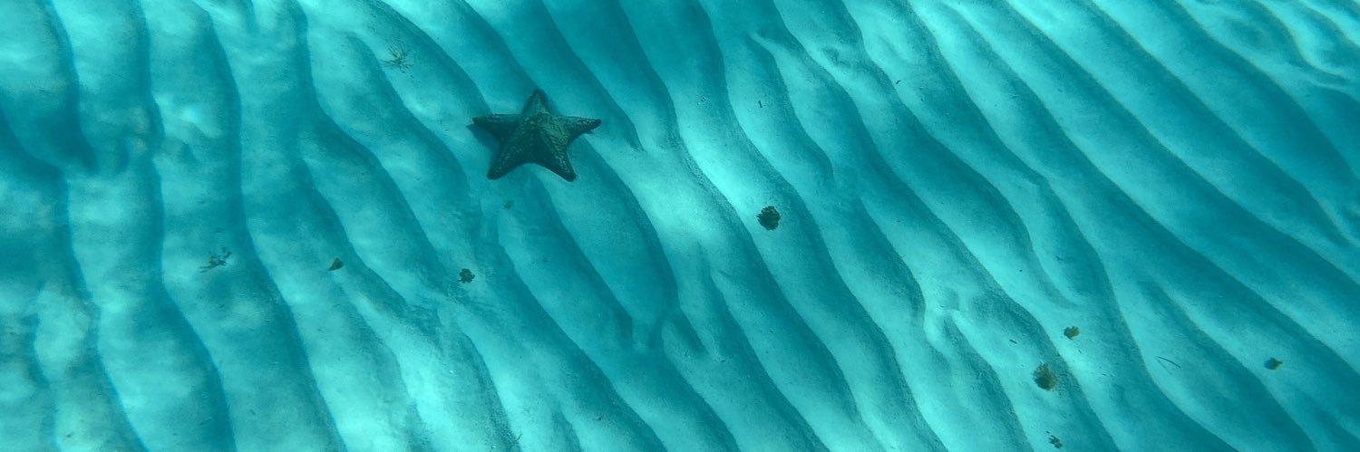 CharlyAdolfo's profile banner image