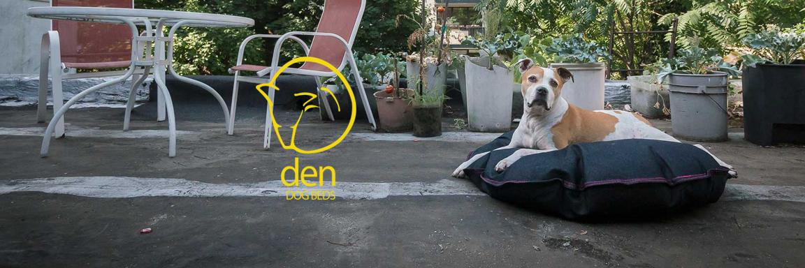 gooddogden's profile banner image