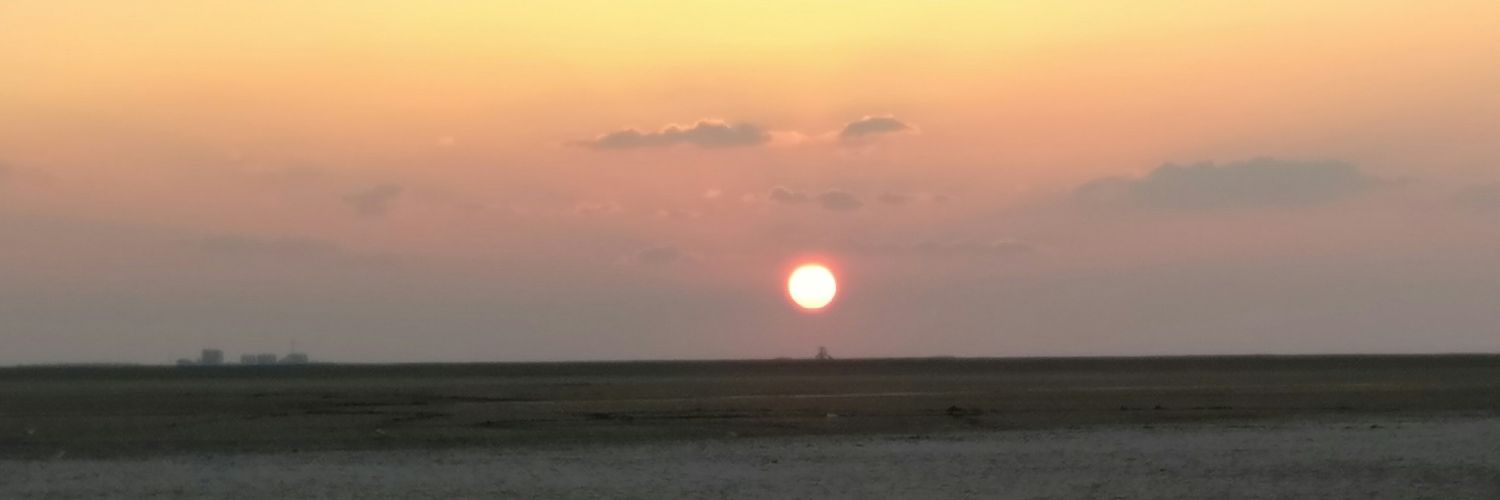 gauravn00's profile banner image