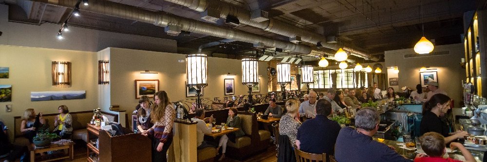 chestnutasheville banner