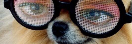 Boyito banner