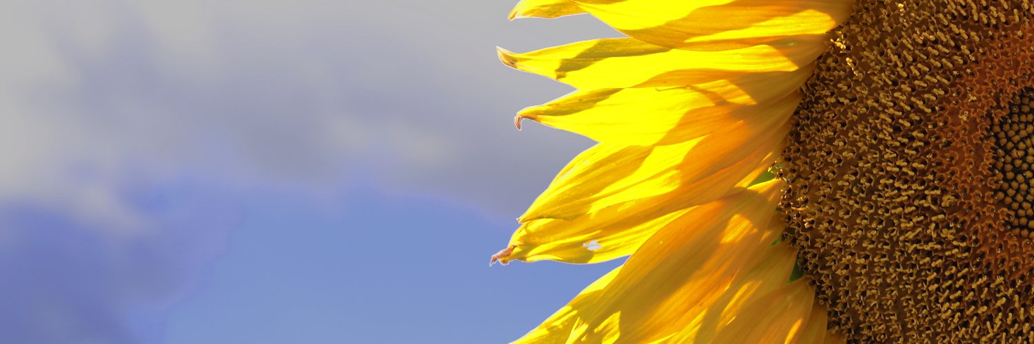 Justin_Prim's profile banner image