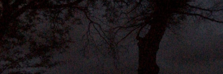LandoXV_'s profile banner image