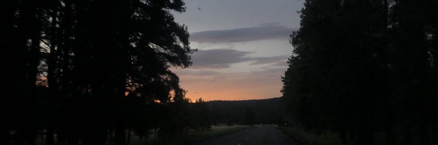 aleeeexxisss's profile banner image