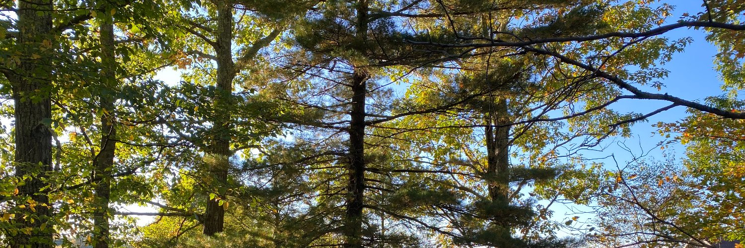 achadroff's profile banner image