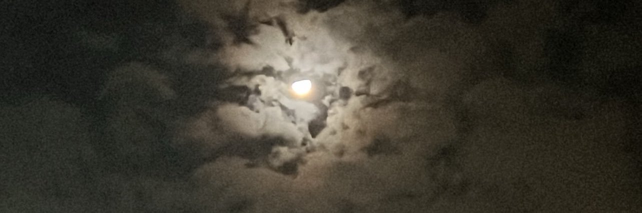 55d_o's profile banner image