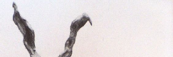 erickuriels's profile banner image