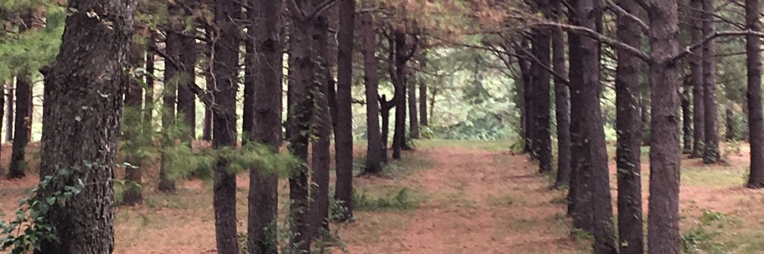 esdeaner22's profile banner image