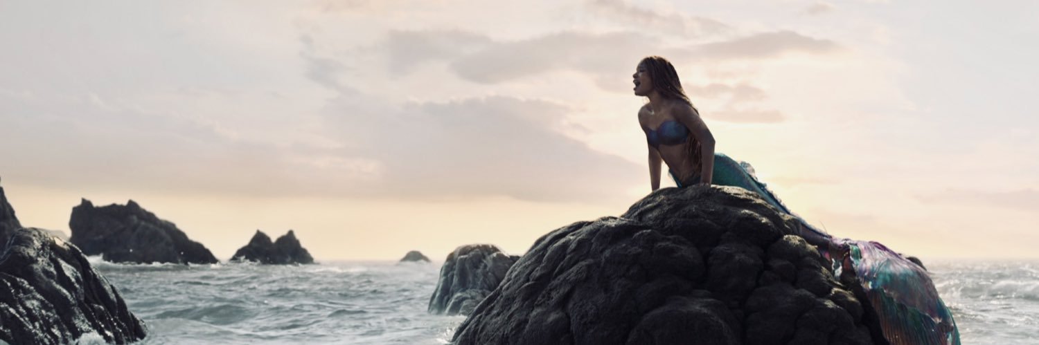 MermaidsLore's profile banner image