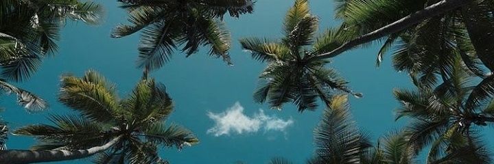 Pipit_Atzho's profile banner image