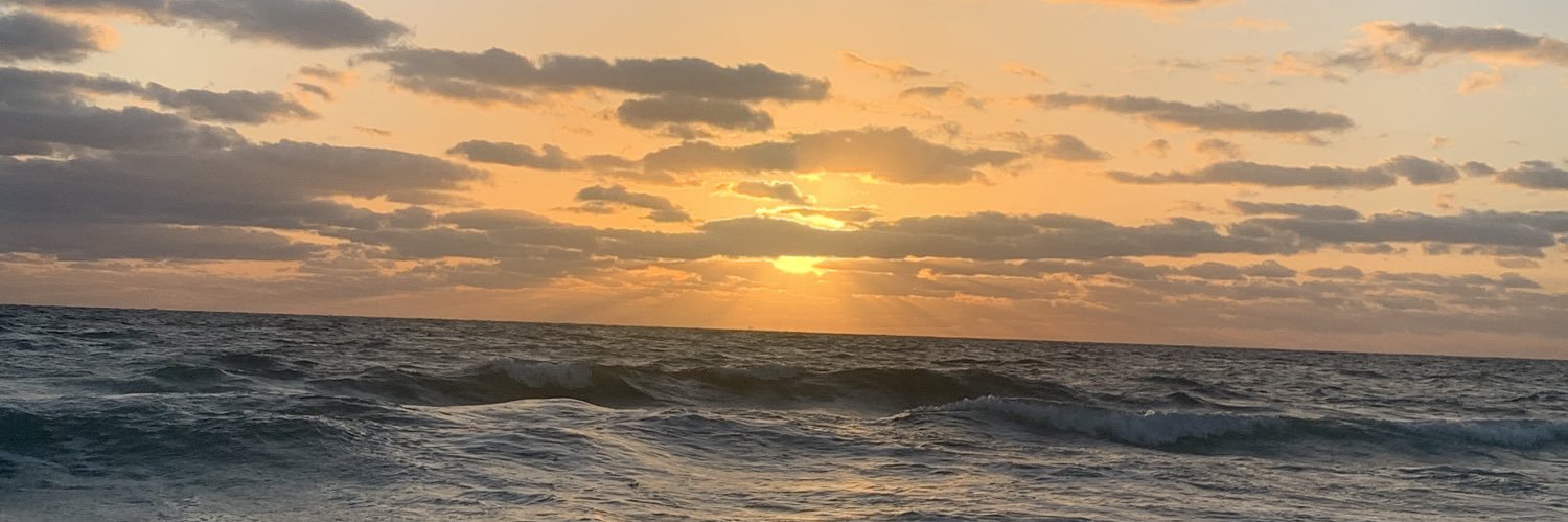 giubogaver's profile banner image