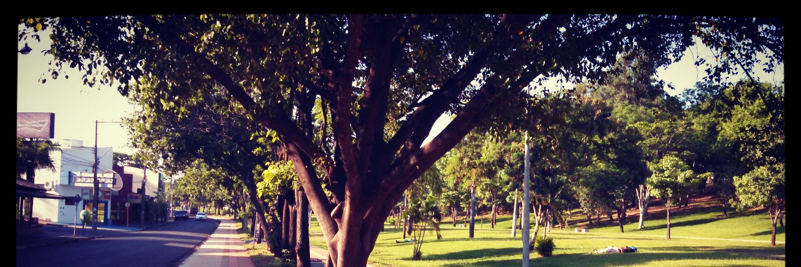 Blueboybr's profile banner image