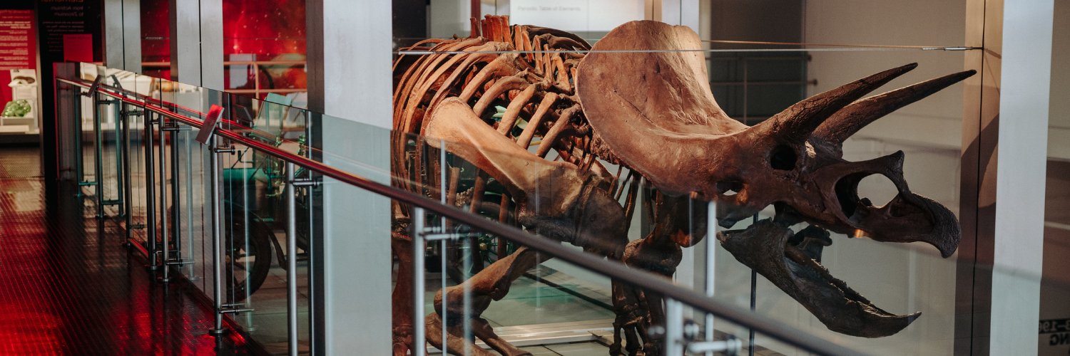 UlsterMuseum's profile banner image