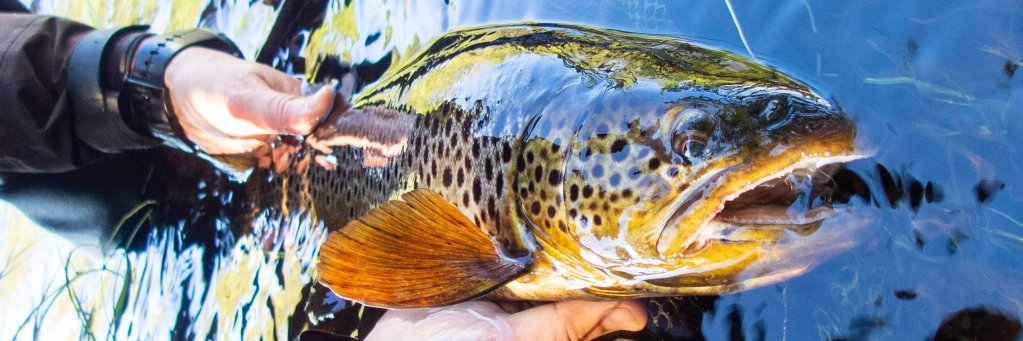 Tuukka Rantamäki banner