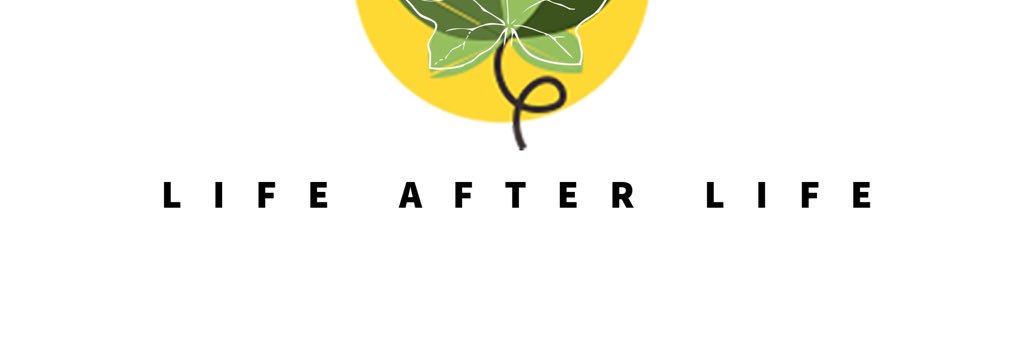 LifeAfter_Life's profile banner image