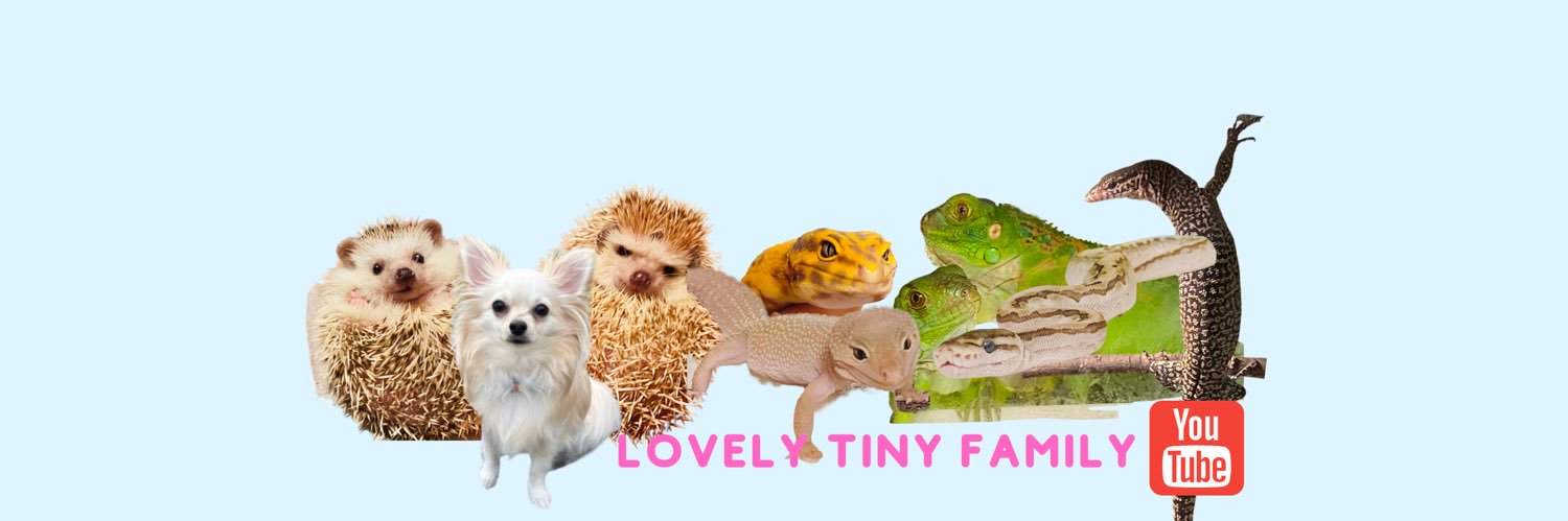 moonr_forever's profile banner image