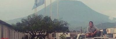 Vanessa Casciano banner
