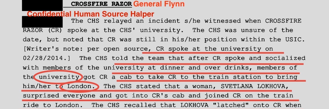 Svetlana Lokhova banner