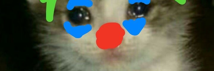 Teddiepoe's profile banner image