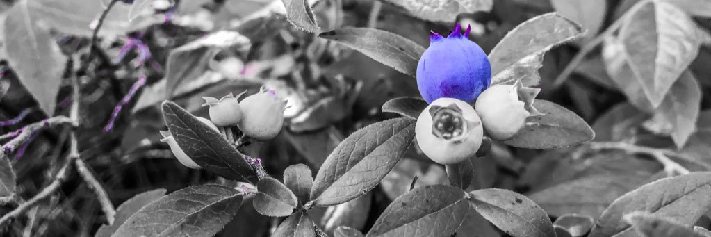 StevenNorrisAnd's profile banner image